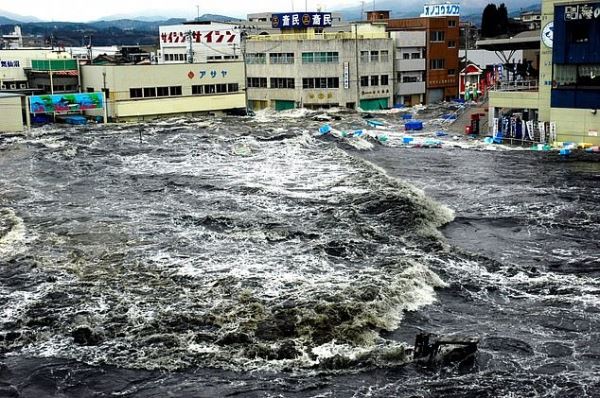 Японцы боятся скорого цунами из-за появления сельдяных королей 
