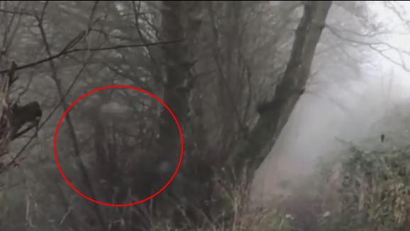 На видео засняли двигающегося призрака с головой-черепом 