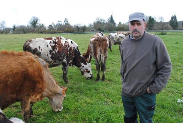 Французские фермеры пытаются выяснить, от чего загадочным образом гибнут их коровы 
